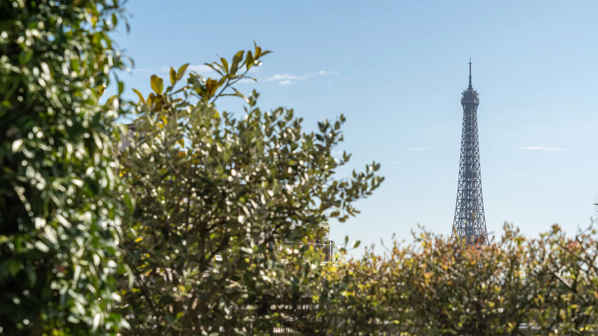 Paris 16e - OECD